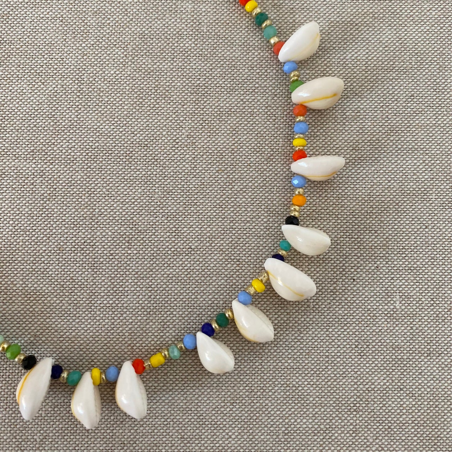 Multicolor Fairy Seashells